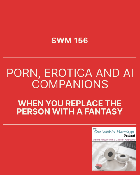 SWM 156 - Porn, erotica and AI Companions - When you replace the person with a fantasy